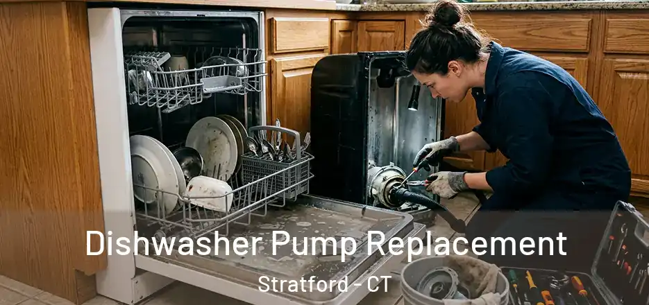  Dishwasher Pump Replacement Stratford - CT