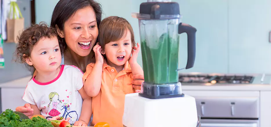 Juicer and Mixer Blender Repair in Stratford