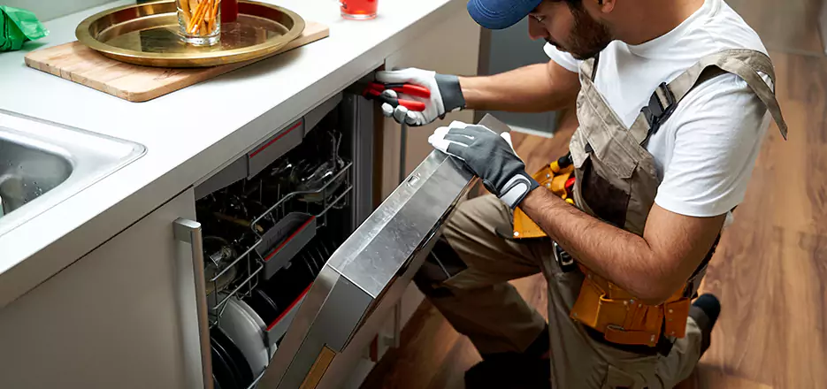 Same Day Dishwasher Not Draining Repair in Stratford