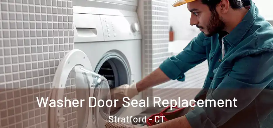  Washer Door Seal Replacement Stratford - CT