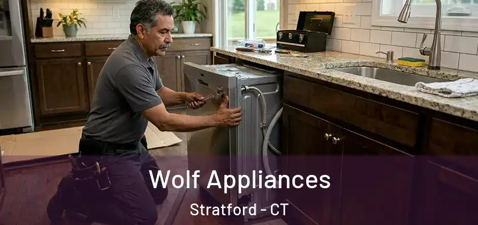 Wolf Appliances Stratford - CT